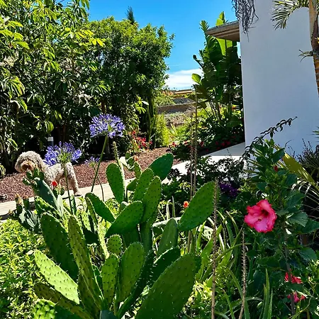 Private & Terrace, Pool Διαμέρισμα Granadilla De Abona