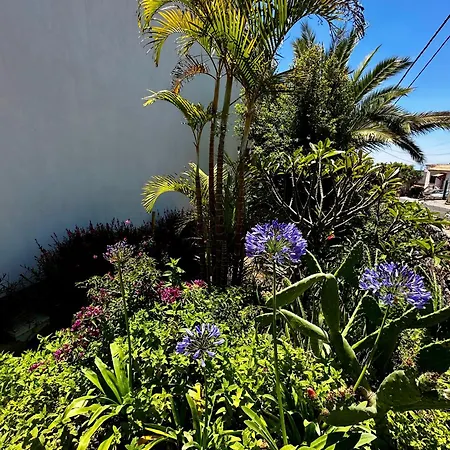 Private & Terrace, Pool Appartement Granadilla De Abona