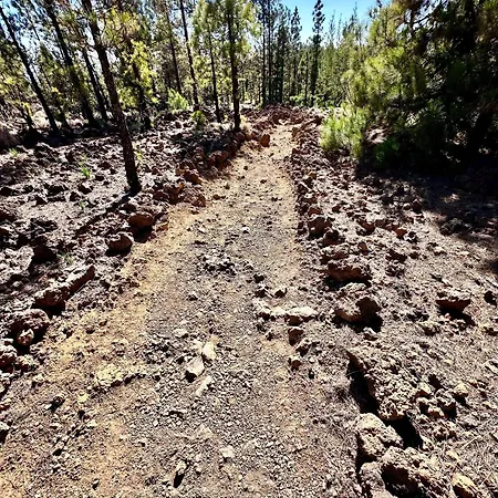 Apartament Private & Terrace, Pool *