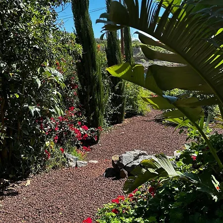 Private & Terrace, Pool Apartament *