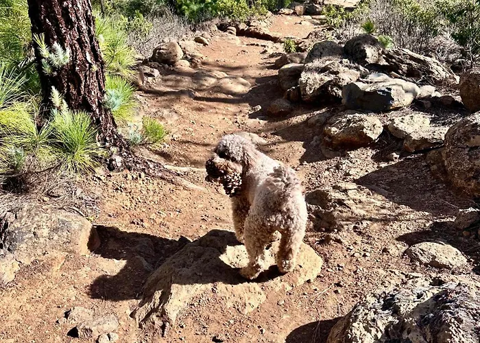 Private & Terrace, Pool Lägenhet Granadilla De Abona