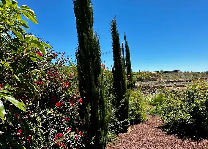 Private & Terrace, Pool * Granadilla De Abona