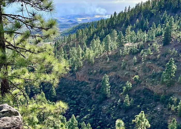 Private & Terrace, Pool