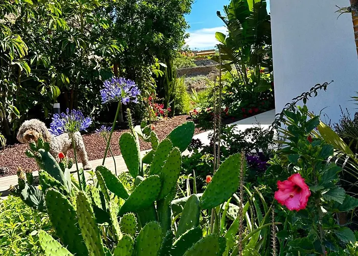 Private & Terrace, Pool Apartament Granadilla De Abona