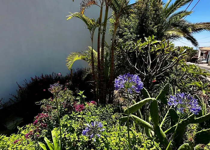 Private & Terrace, Pool Apartament Granadilla De Abona