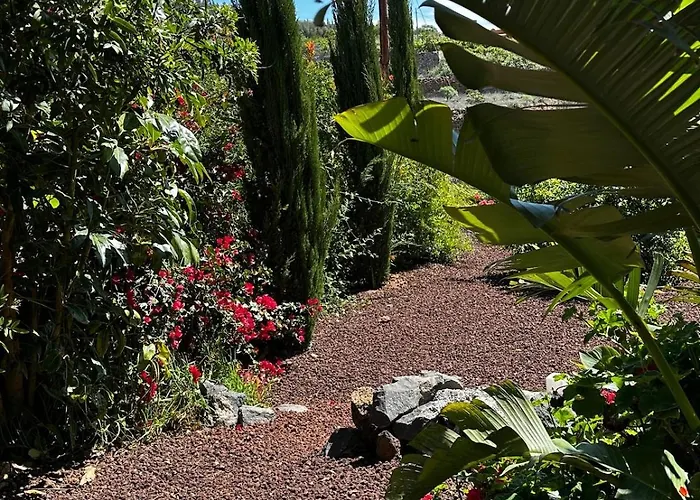 Private & Terrace, Pool Apartament *